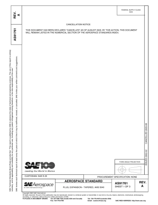 SAE AS91761a-2005.pdf