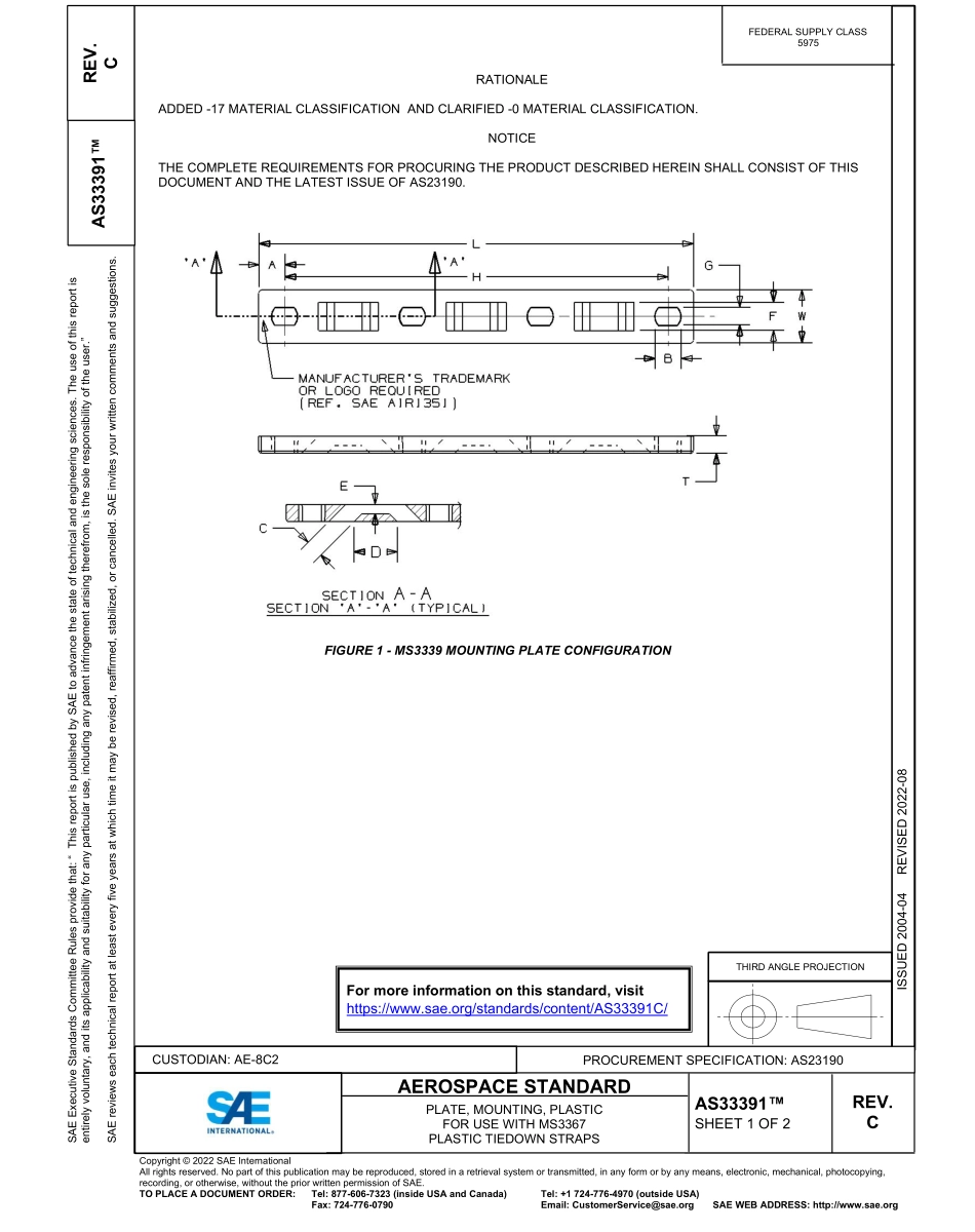 SAE AS33391C-2022.pdf_第1页