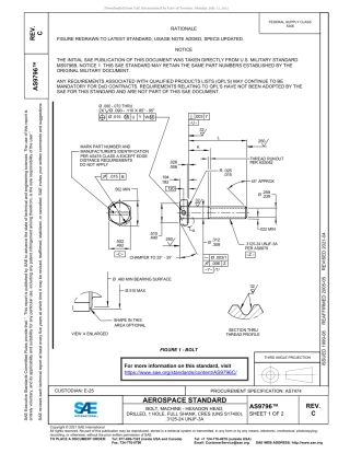 SAE AS9796C-2021.pdf