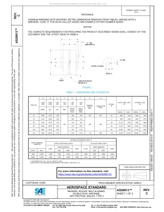 SAE AS28913C-2020.pdf