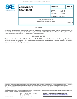 SAE AS85485D-2021.pdf