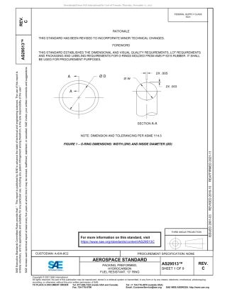 SAE AS29513C-2021.pdf