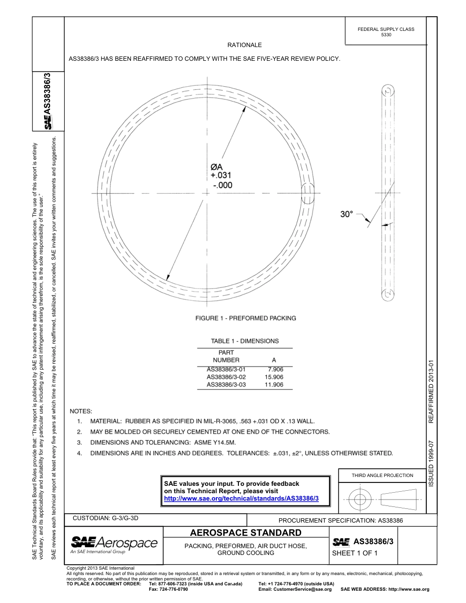 SAE AS38386-3-2013.pdf_第1页