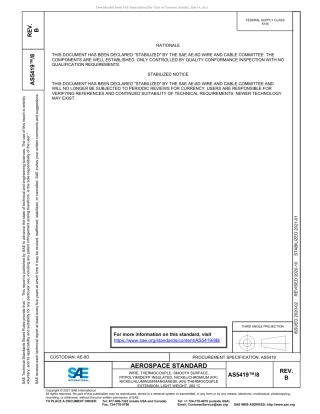 SAE AS5419-8B-2021.pdf