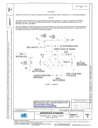 SAE AS9276B-2019.pdf