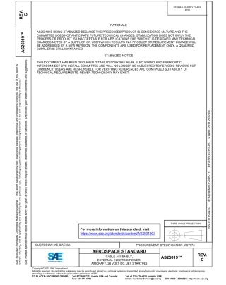 SAE AS25019C-2022.pdf