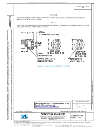 SAE AS81511-13-2019.pdf