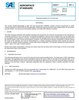 SAE AS8043C-2023.pdf