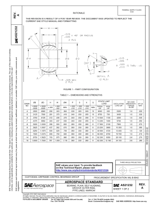 SAE AS21232a-2012.pdf