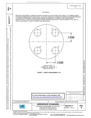 SAE AS33701b-2020.pdf