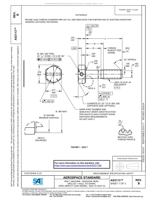 SAE AS3113B-2020.pdf