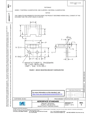 SAE AS33411C-2022.pdf