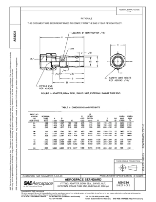 SAE AS4234-2007.pdf