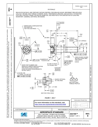 SAE AS3180B-2020.pdf
