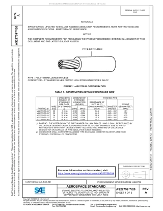 SAE AS22759-20A-2020.pdf