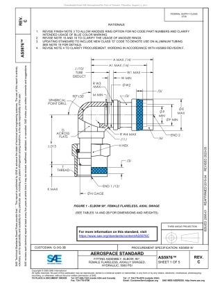 SAE AS5976C-2020.pdf