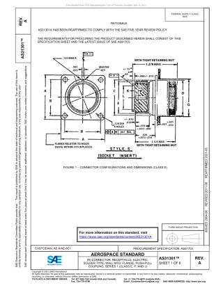 SAE AS31301A-2021.pdf