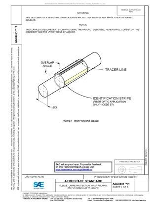 SAE AS60491-1-2019.pdf