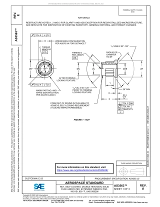 SAE AS3563E-2020.pdf