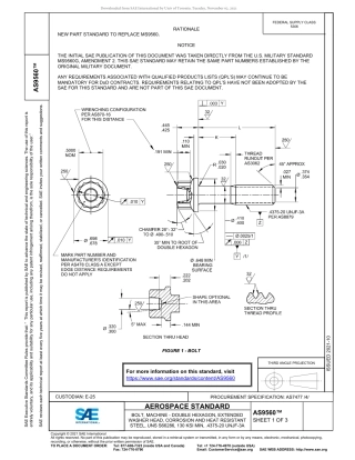 SAE AS9560-2021.pdf