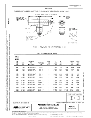 SAE AS4312-2007.pdf