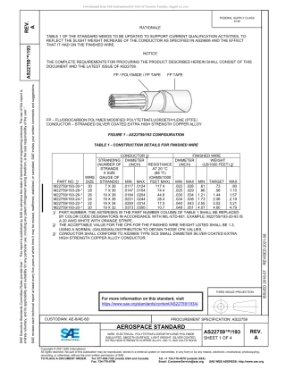 SAE AS22759-193A-2021.pdf
