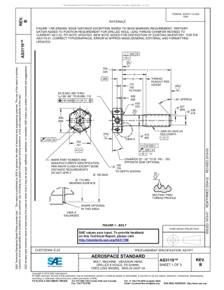 SAE AS3119B-2019.pdf