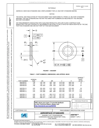 SAE AS9768-2019.pdf