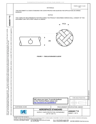 SAE AS60491-5-2019.pdf