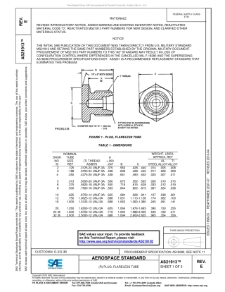 SAE AS21913E-2016.pdf