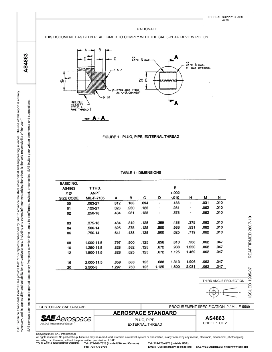 SAE AS4863-2007.pdf_第1页