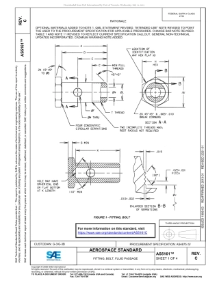SAE AS5161C-2020.pdf
