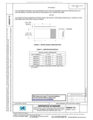 SAE AS6224-2-2019.pdf