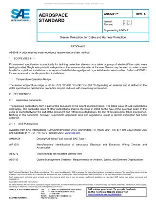 SAE AS60491A-2019.pdf