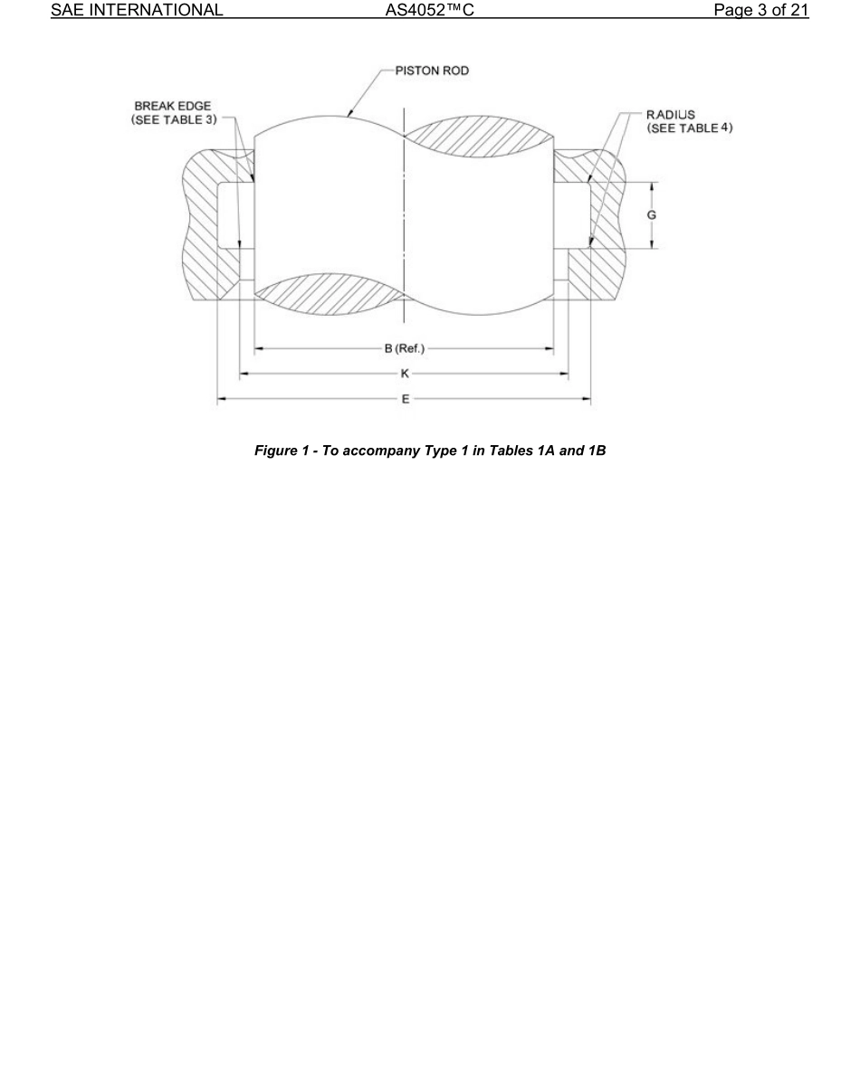 SAE AS4052C-2022.pdf_第3页