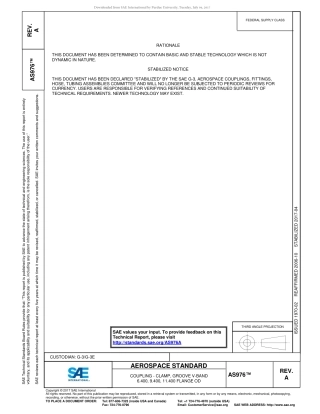 SAE AS976A-2017.pdf