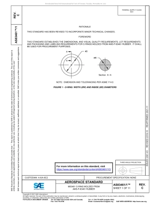 SAE AS83461-1C-2021.pdf