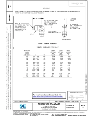 SAE AS6099C-2022.pdf
