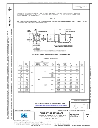 SAE AS34021E-2021.pdf
