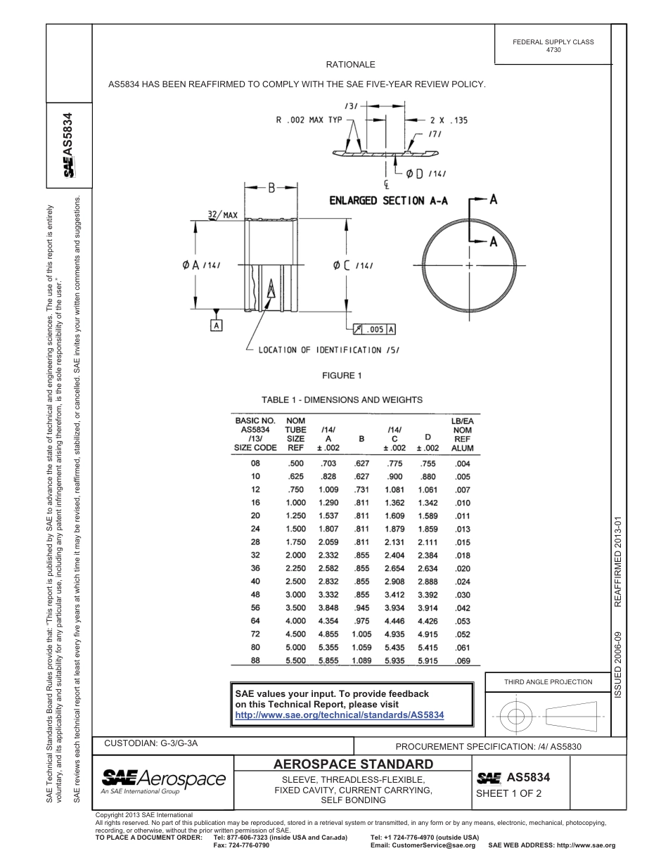 SAE AS5834-2013.pdf_第1页
