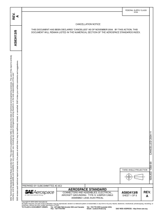 SAE AS83413-8A-2004.pdf