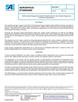 SAE AS13100-2021.pdf