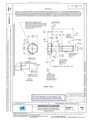 SAE AS3307B-2020.pdf