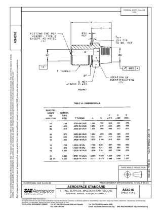 SAE AS4216-2007.pdf