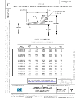 SAE AS1895-10E-2022.pdf