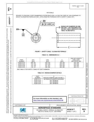 SAE AS3619B-2020.pdf