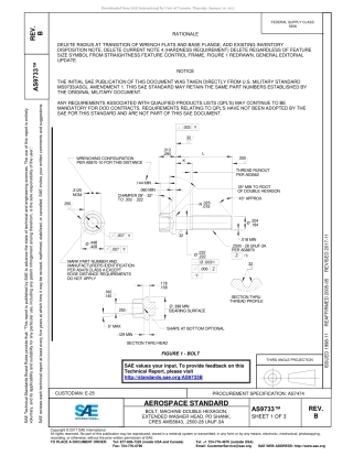 SAE AS9733B-2017.pdf