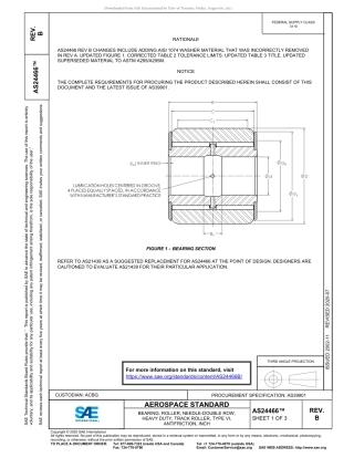 SAE AS24466B-2020.pdf
