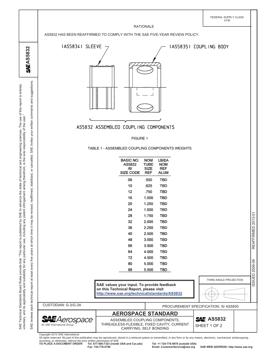 SAE AS5832-2013.pdf_第1页