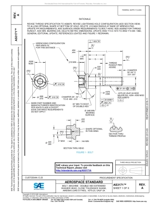 SAE AS3171A-2018.pdf